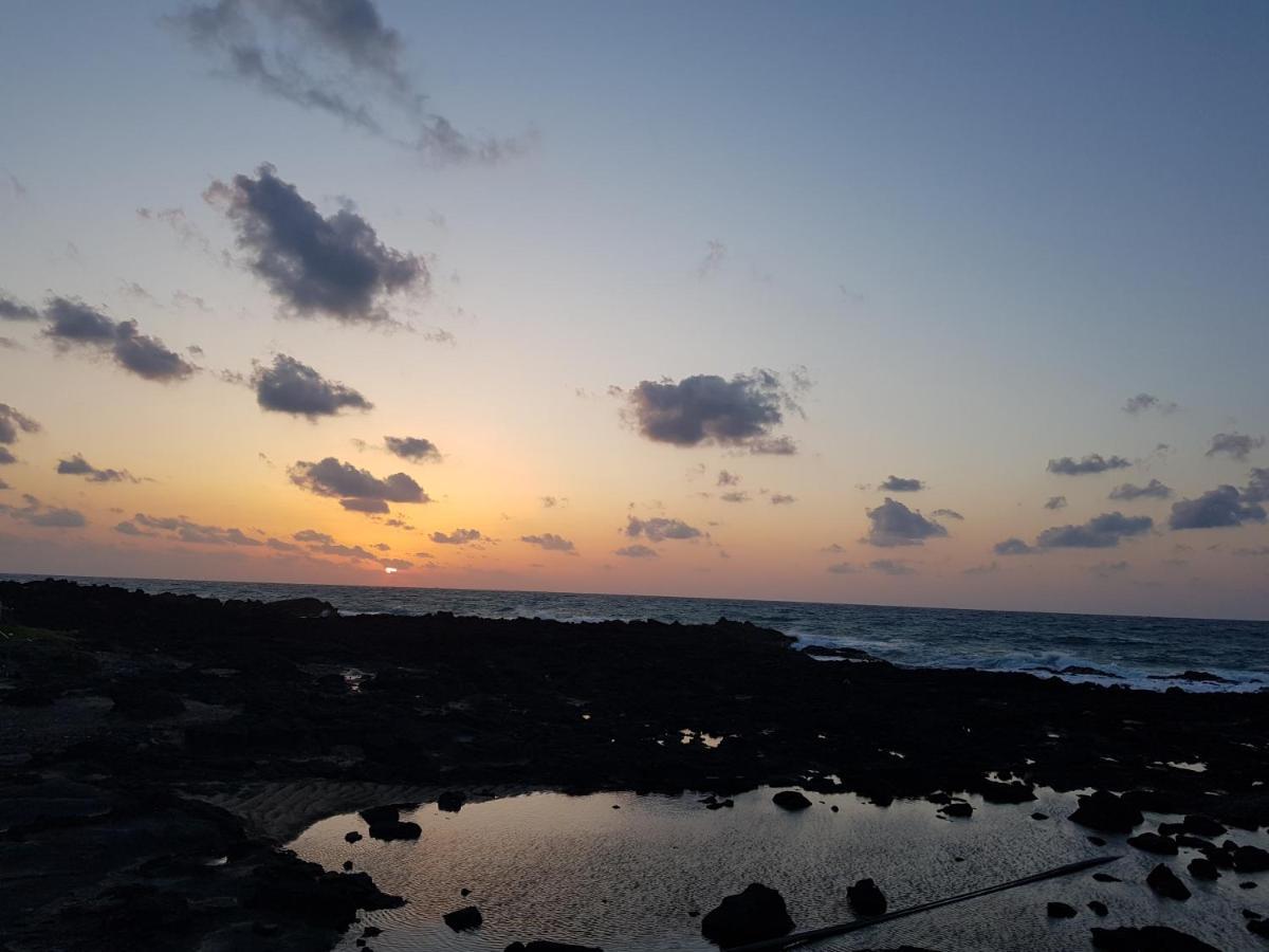 제주 바다성 펜션 외부 사진